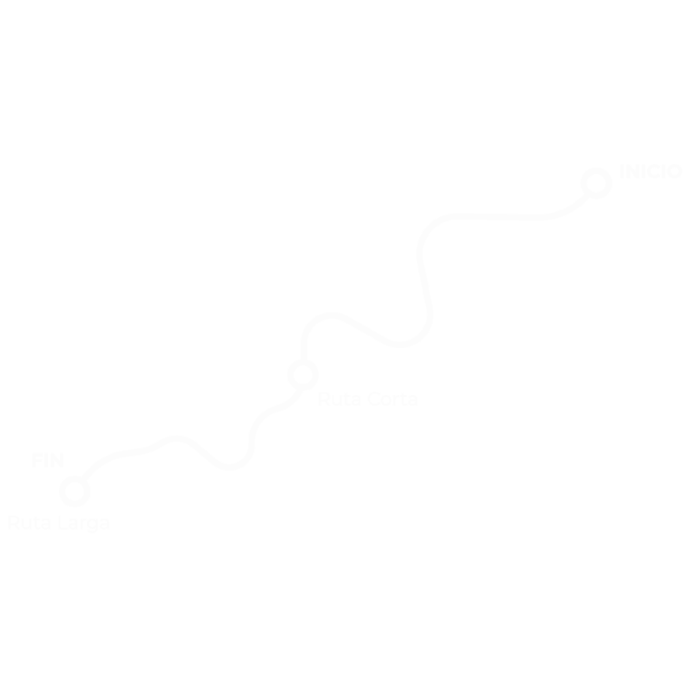 ruta-1